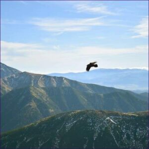 Spirit Guide Journey Activation Program - 7 Activations